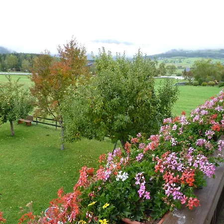 Haus Bauer Ii Mit Balkon Apartment *